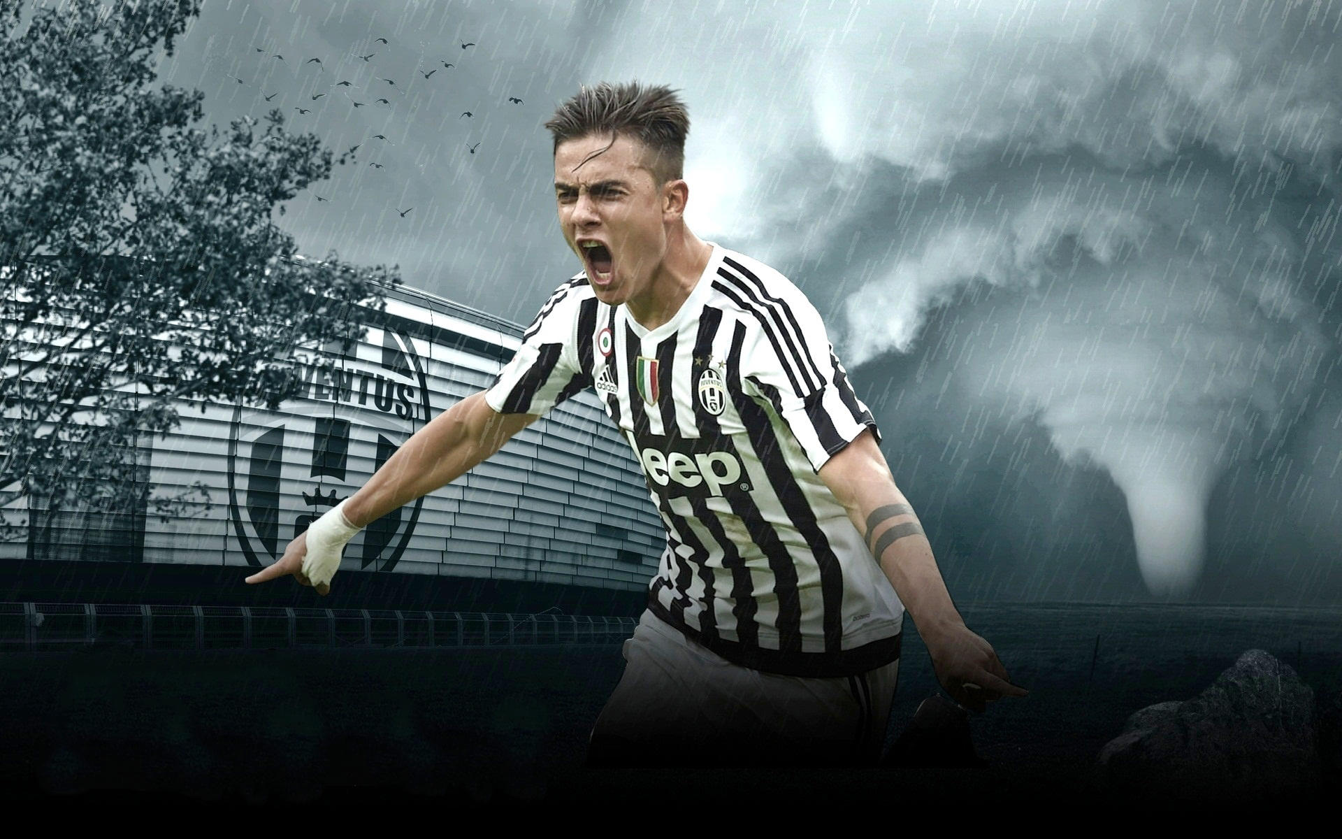 英超第18轮裁判选派：安东尼·泰勒吹罚曼联vs纽卡焦点战（英超第18轮裁判安排：安东尼·泰勒执法曼联对阵纽卡的焦点之战）